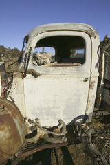 Teddy Bear in rusty old truck on Route 33, near Cuyama, California
