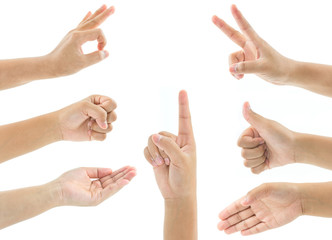 Set of female hand isolated on white