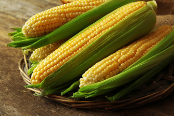 Fresh corn on cobs on wicker mat on wooden table, closeup