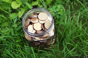 Coins in money jar on green grass outdoors
