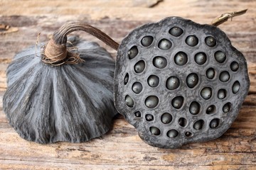 Dried lotus seeds