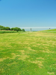 Obraz premium 初夏の江戸川河川敷風景