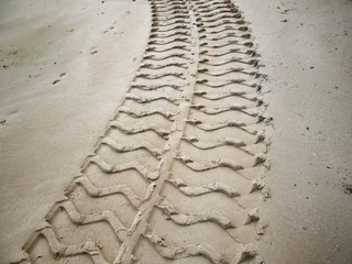 Wheel tracks on the soil.