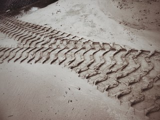 Wheel tracks on the soil.