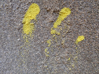 Fingers Graffiti on Wall