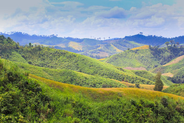Fototapeta na wymiar Landscape of mountains in Nan province, the Northern of Thailand
