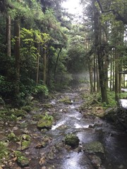 秋吉台
