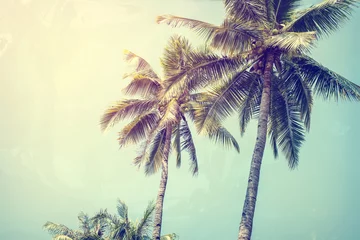 Papier Peint photo autocollant Palmier Fond de nature vintage de cocotier sur un ciel bleu de plage tropicale avec la lumière du soleil du matin en été, texture de papier photo avec filtre instagram