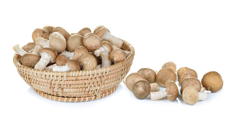 shiitake in the Basket