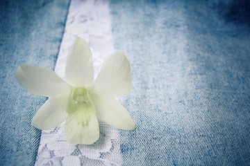 Fototapeta na wymiar White orchid flower on jeans