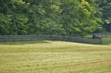 Dark colored fence bordering a rural property in the countryside