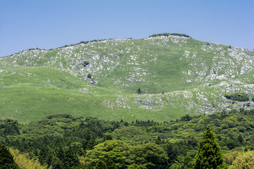 平尾台の岩と山