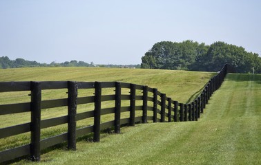 Painted fence dividing pastures and borders on rural property