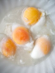 Dessert of eggs