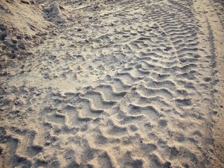 Wheel tracks on the soil.