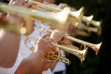 Obraz premium Pipes in the hands of musicians