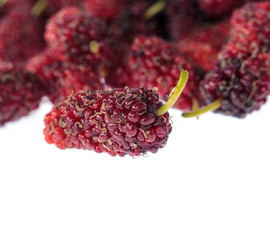 Group of mulberries  on a white background.selected focus.