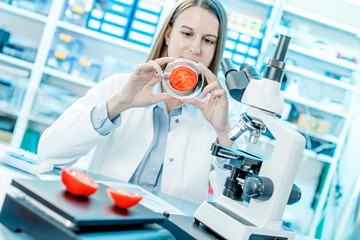 checking food cucumber on the content herbicides and pesticides