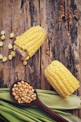 Fresh corn and seeds