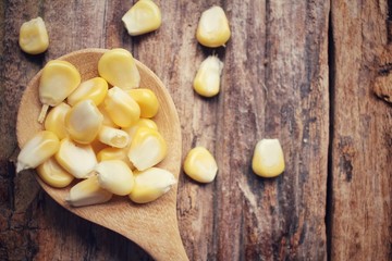 Fresh corn seeds