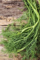 Fresh dill