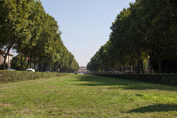 Monza viale della villa reale