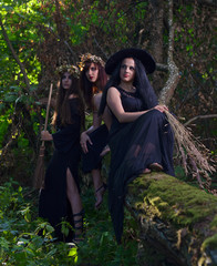  witches in dark forest