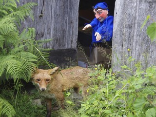 le renard et le paysan