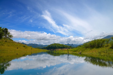 Fototapeta premium Blue River Forest