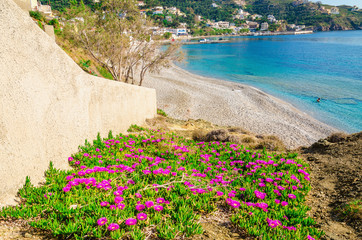 Flowers at sandy beach with clear blue sky, Greece