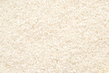 White Rice, Background
