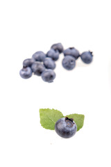One blueberry and leaves on white background