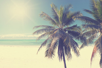 Fototapeta na wymiar Vintage coconut palm tree on beach blue sky with sunlight of morning in summer, instagram filter