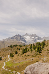 Fototapeta premium Zermatt, Dorf, Bergdorf, Alpen, Walliser Alpen, Ober Gabelhorn, Wellenkuppe, Schweizer Berge, Findeln, Weiler, Sunnegga, Wanderweg, Wanderferien, Wallis, Sommer, Schweiz