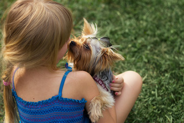 Girl 6 years old one grass playing with Yorkshire Terrier
