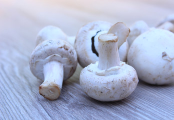 Champignons
