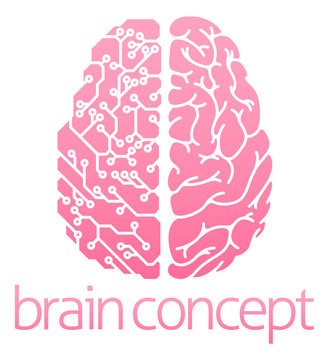 Human brain electrical circuit