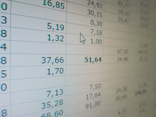 electronic spreadsheet