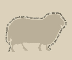 silhouette of a ram with the name in different languages