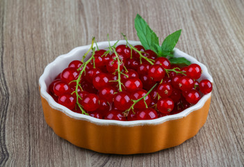 Red currant