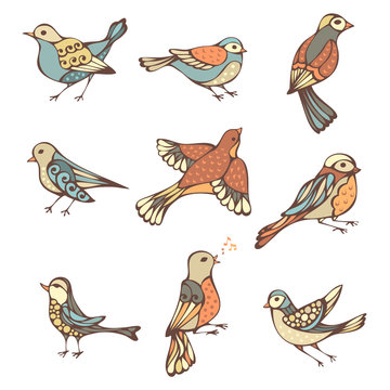 Vector set of hand-drawn birds.