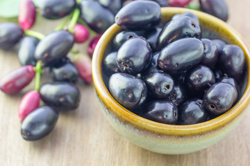 Jambolan plum, Java plum (Syzygium cumini) on white background.