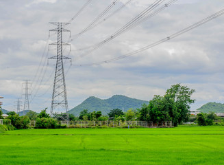 Obraz premium high voltage post on green field, selective focus point.