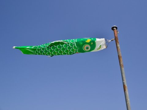空を泳ぐこいのぼり