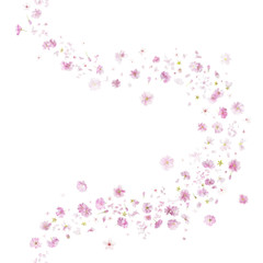 breeze curve of two different sakura blossoms, studio photographed, vertically repeating and...