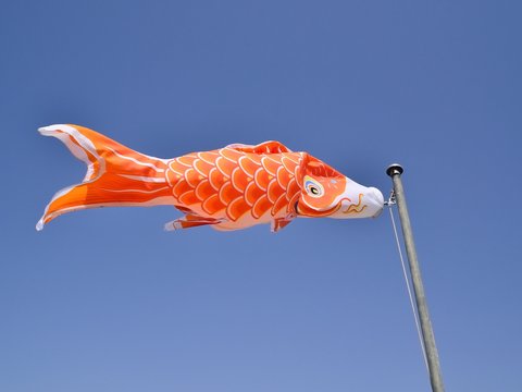 空を泳ぐこいのぼり