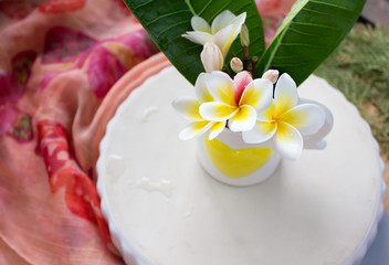 lovely charming aroma flower plumeria in mini boutique style with colourful decoration