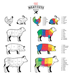 American (US) Meat Cuts Diagrams