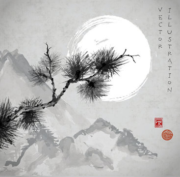 Pine tree branch, mountains and the Moon