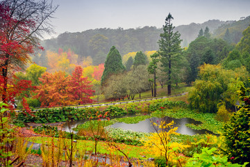 Autumn landscape under the rain